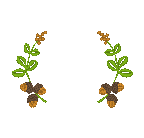 Acorns and Berries Acorns and Berries