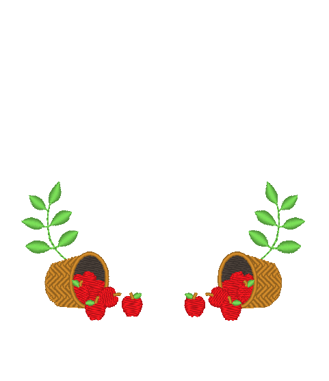 Apple Basket Apple Basket