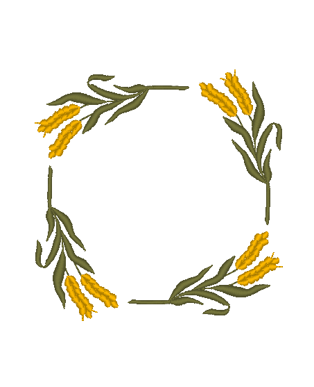 Autumn Wheat Autumn Wheat