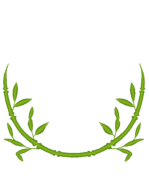 Tranquil Bamboo Tranquil Bamboo