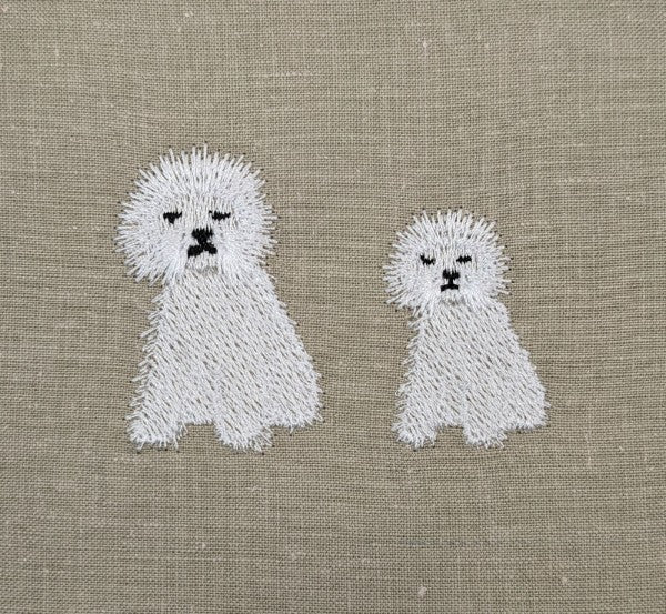 Bichon Frise Bichon Frise