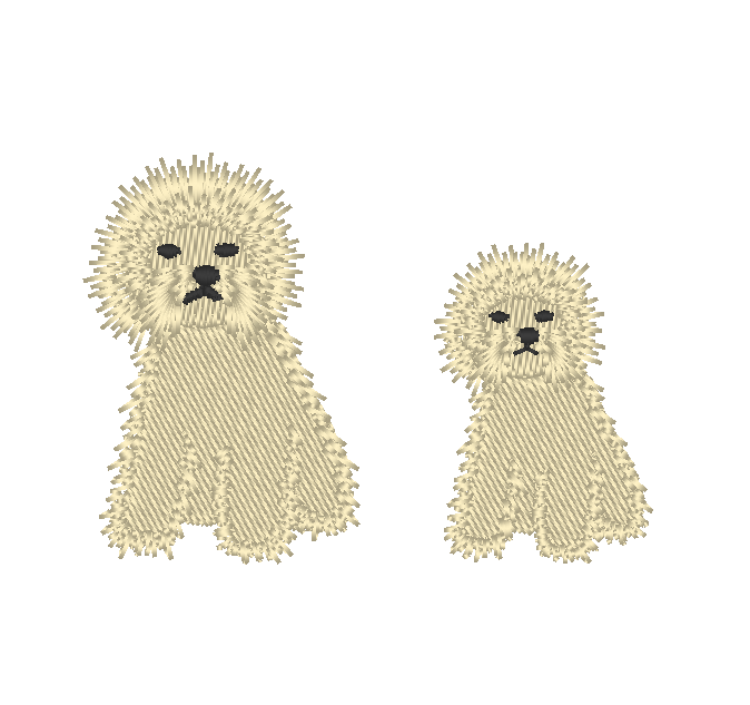 Bichon Frise Bichon Frise