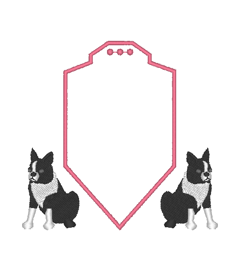 Boston Terrier Boston Terrier