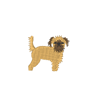 Brussels Griffon Brussels Griffon