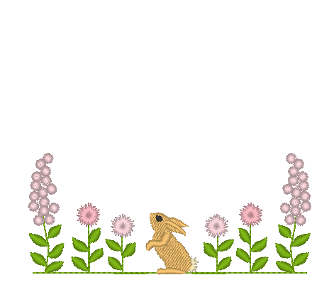 Bunny in the Garden Bunny in the Garden