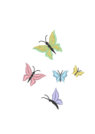 Butterflies Butterflies