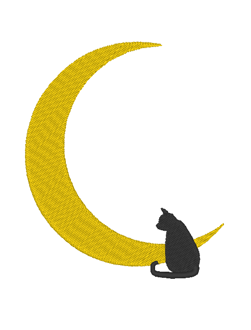 Black Cats Black Cats