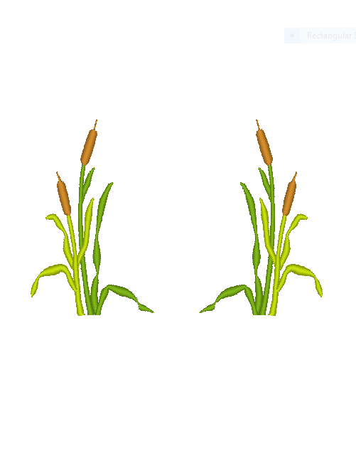 Cattails Frame Cattails Frame