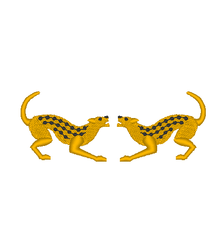 Cheetah Cheetah