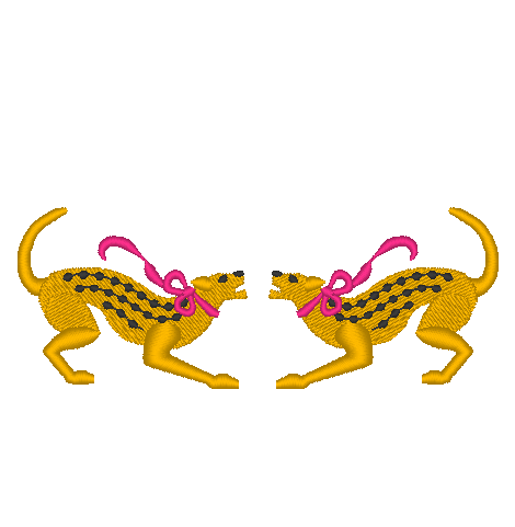 Cheetah Cheetah
