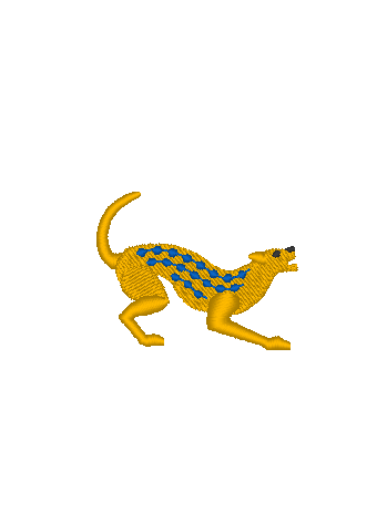 Cheetah Cheetah