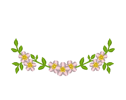 Cherry Blossoms Cherry Blossoms