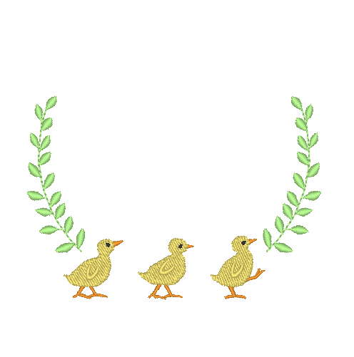 Chicks on Parade Chicks on Parade