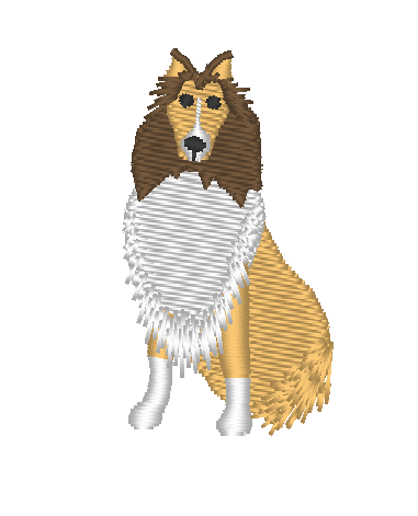 Collie Collie