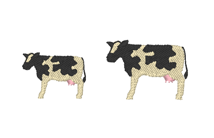 Cows Cows