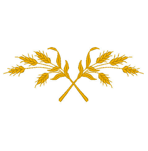 Waves of Grain Waves of Grain