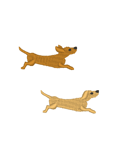 Dachshund Dachshund