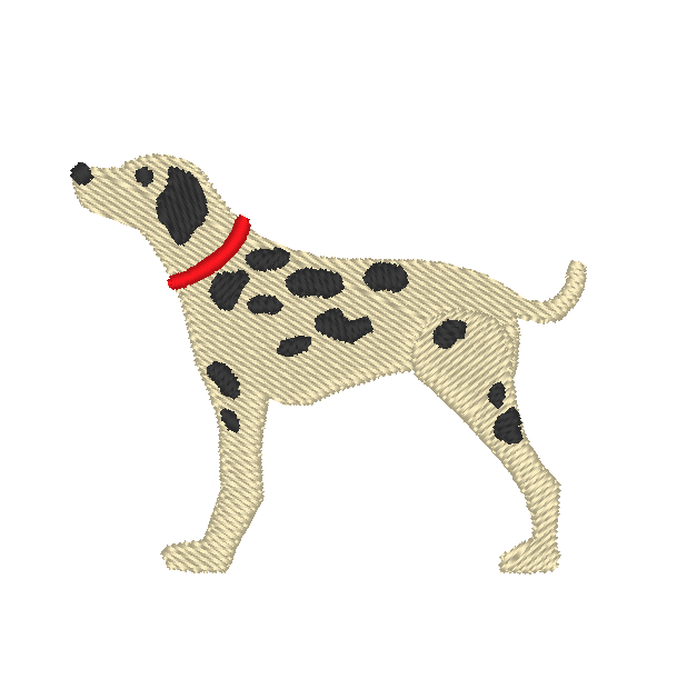 Dalmatians Dalmatians