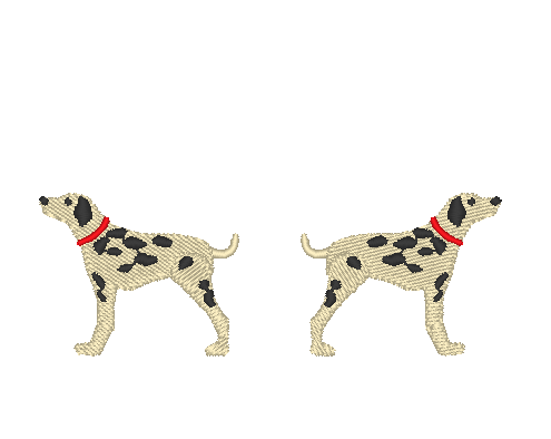 Dalmatians Dalmatians