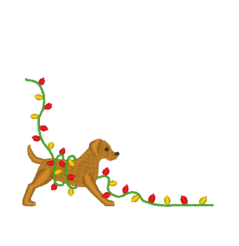 Dog with Christmas Lights Dog with Christmas Lights