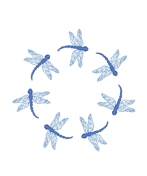 Dragonflies Dragonflies