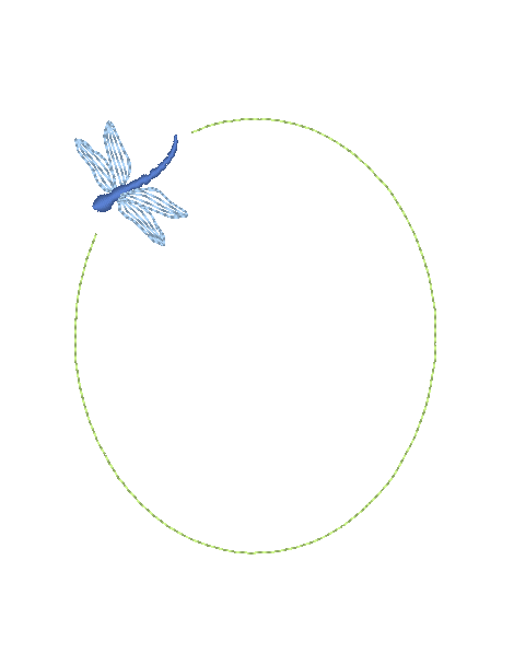 Dragonflies Dragonflies