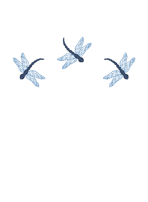 Dragonflies Dragonflies