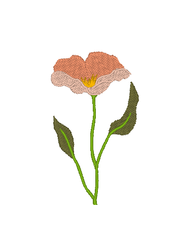 Ellen's Flowers Ellen's Flowers