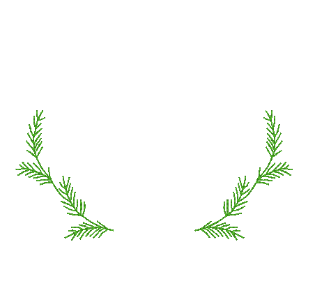 Bringing Home the Tree Bringing Home the Tree