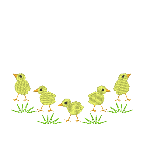 Baby Chicks Baby Chicks