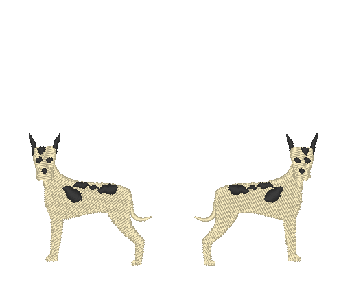 Great Danes Great Danes