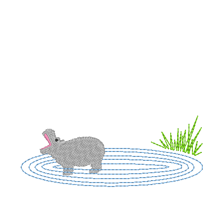 Hippopotamus Hippopotamus