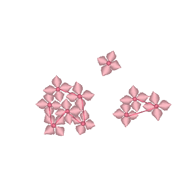 Hydrangeas Hydrangeas