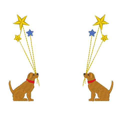 Labs with Stars Labs with Stars