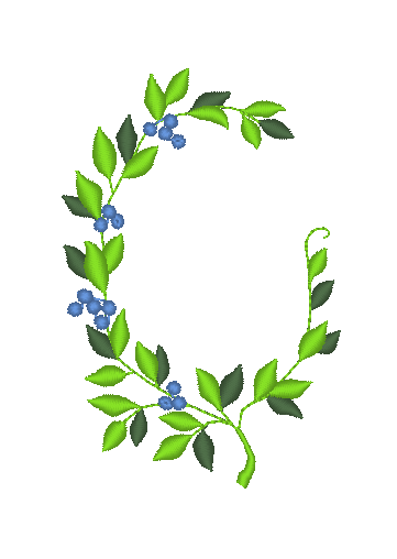 Leaf Oval Leaf Oval
