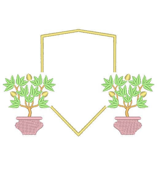 Citrus Trees in Pots Citrus Trees in Pots