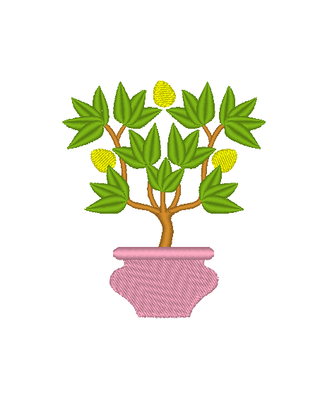 Citrus Trees in Pots Citrus Trees in Pots