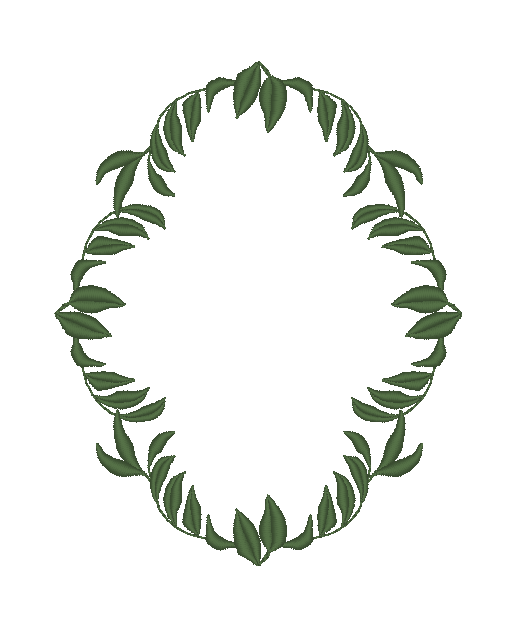 Magnolia Leaves Magnolia Leaves