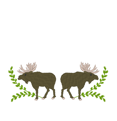 Moose on the Loose Moose on the Loose