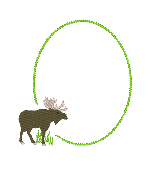 Moose on the Loose Moose on the Loose