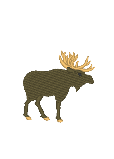 Moose on the Loose Moose on the Loose