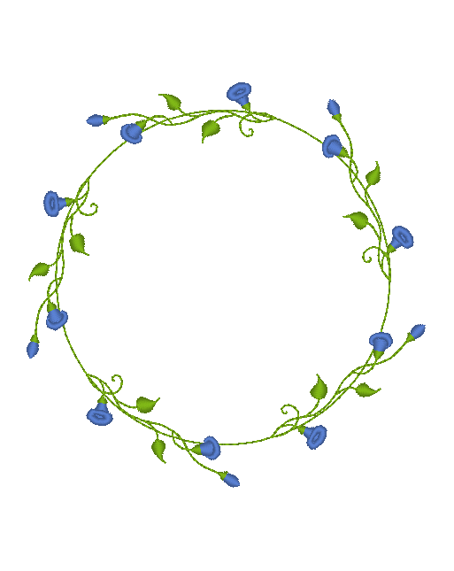 Morning Glory Vine Morning Glory Vine