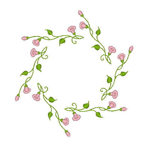 Morning Glory Vine Morning Glory Vine