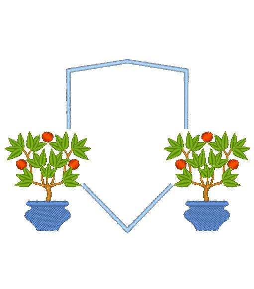 Citrus Trees in Pots Citrus Trees in Pots