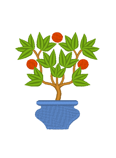 Citrus Trees in Pots Citrus Trees in Pots