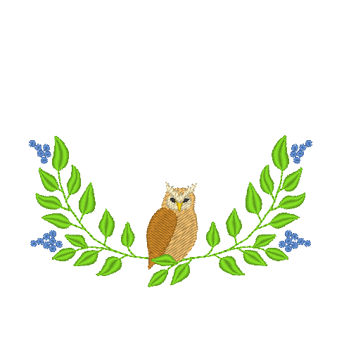 Owl Owl
