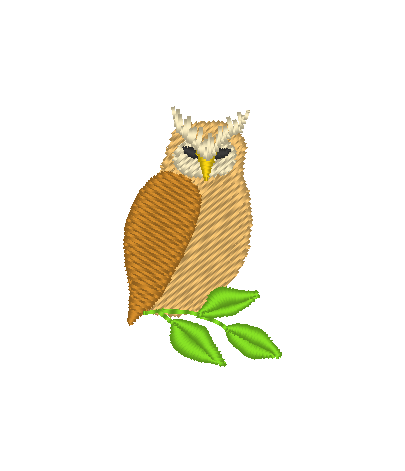 Owl Owl