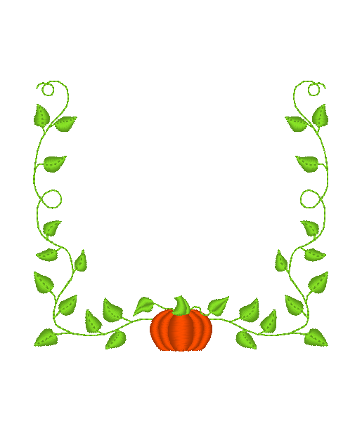 Pumpkin Vine Pumpkin Vine