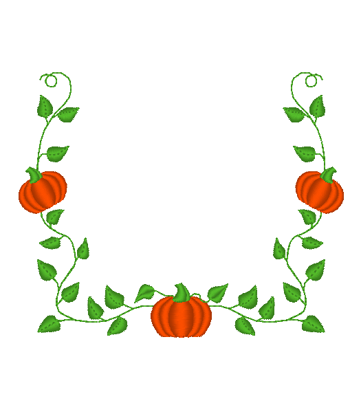 Pumpkin Vine Pumpkin Vine