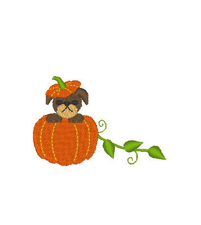 Puppy in a Pumpkin Puppy in a Pumpkin